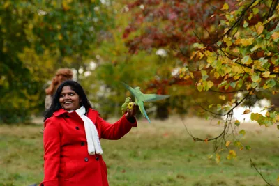 DSC_0488 (Large).JPG